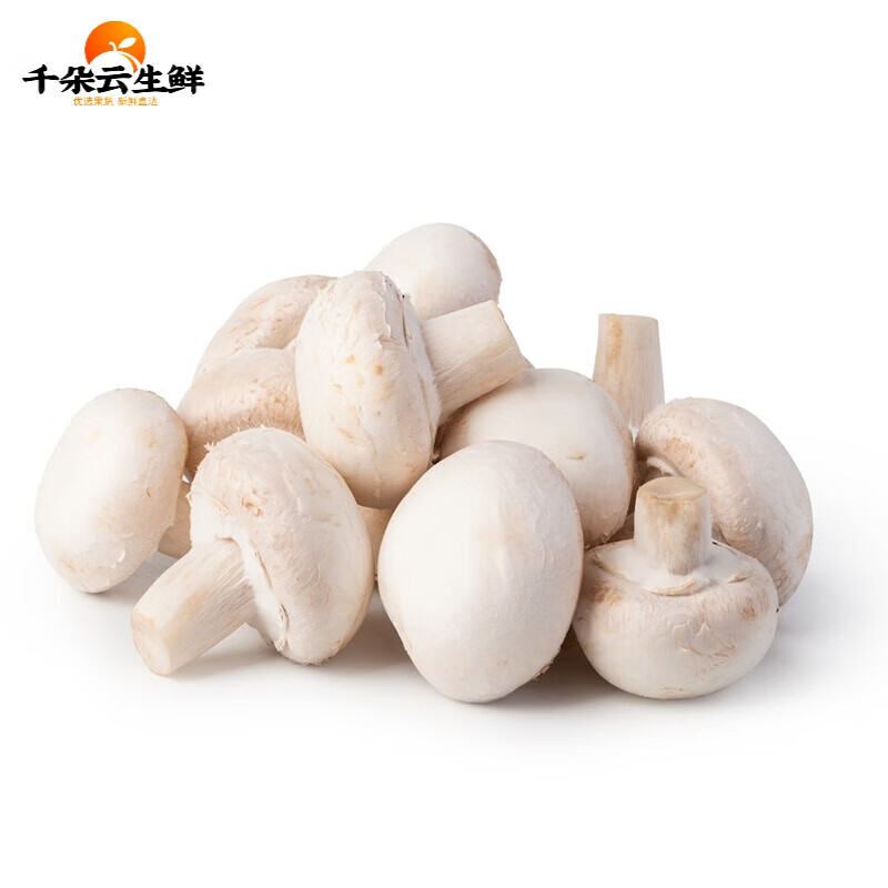 【京鲜速配】新鲜口蘑现摘双孢菇白蘑菇顺丰产地直发时令蔬菜煲汤烧烤
