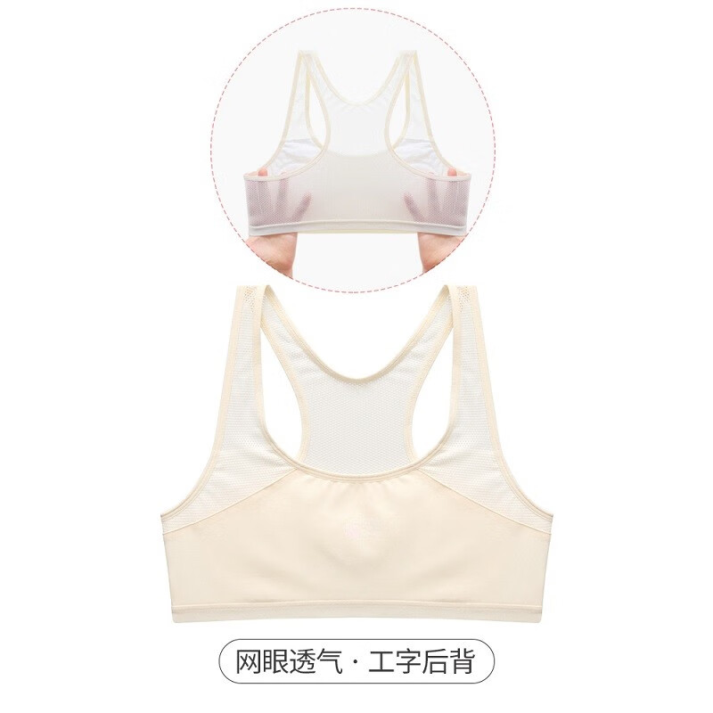 京东看少女文胸历史价格曲线|少女文胸价格历史