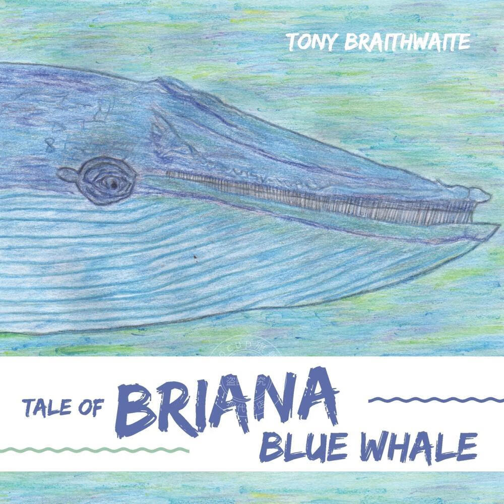 【2周达】【预售 按需印刷】tale of briana blue whale