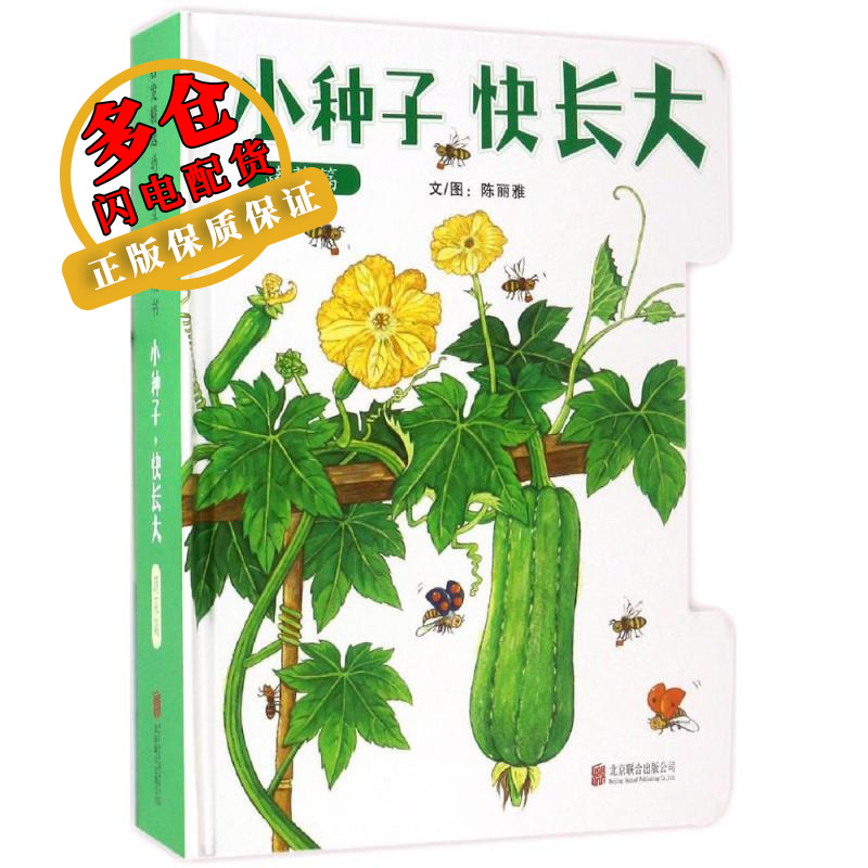 小种子,快长大 陈丽雅 文图 儿童绘本 wx