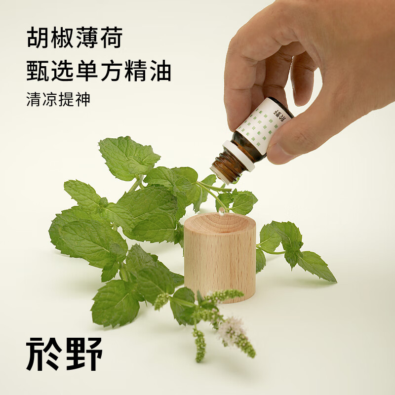 於野胡椒薄荷精油 甄选单方印度产5ml提醒精神香薰加湿器香氛扩香