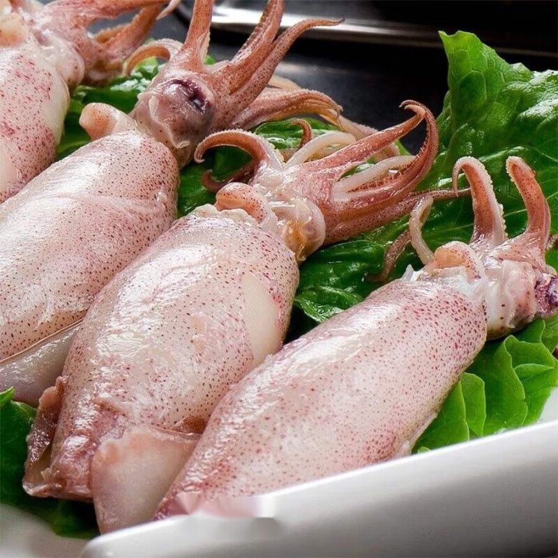 春之卉瑾籽乌鲜冻带籽笔管鱼海兔子满籽墨鱼仔新鲜海兔大乌贼鱿鱼