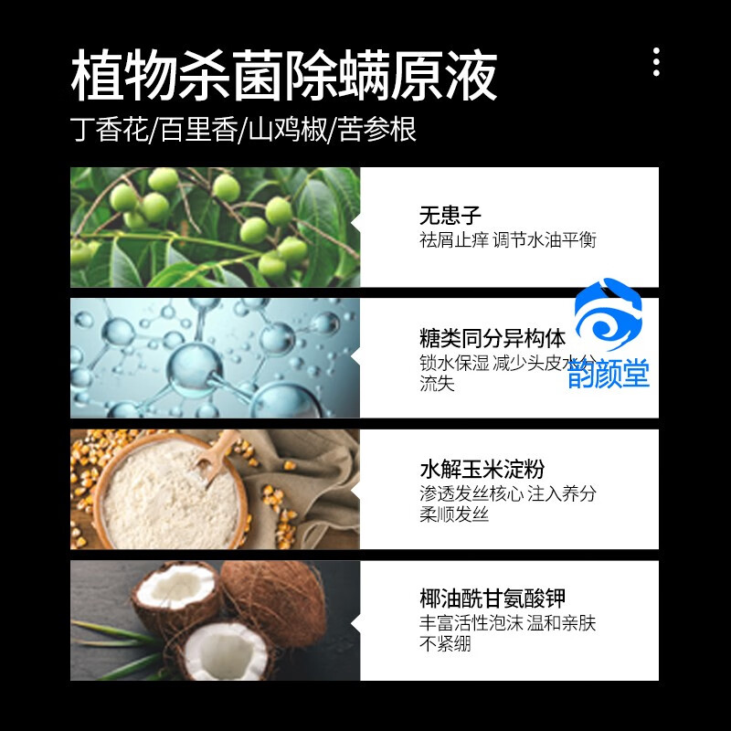 帝泉男士泉帝洗发水 控油净屑长效留香调养头皮消痒洗发露控油 1瓶