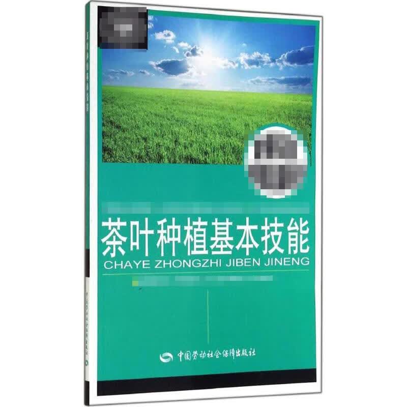 茶叶种植基本技能
