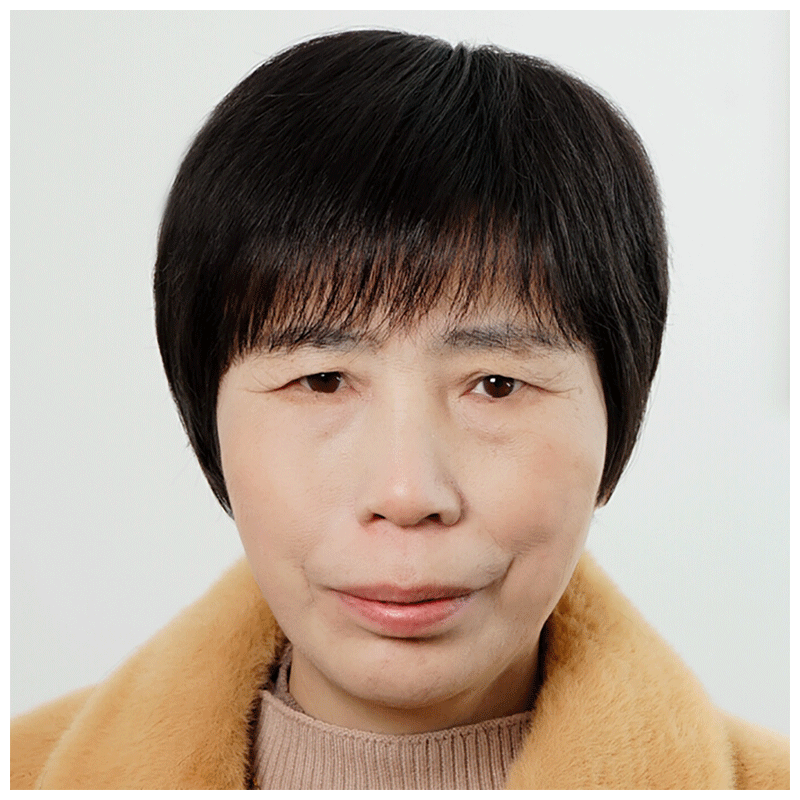 老年人假发女头发头套透气老奶奶发丝假发套真发  【手织顶心】黑色