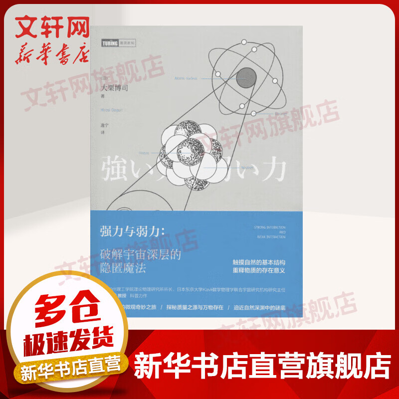 强力与弱力:破解宇宙深层的隐匿魔法