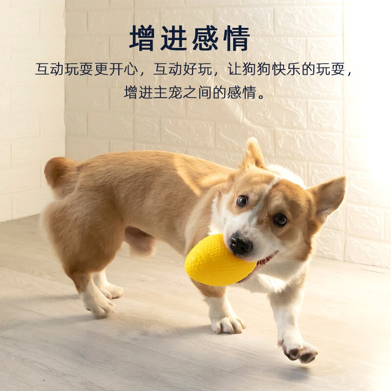 宜特（EETOYS）狗玩具耐咬橡胶球小中型训犬趣味训练球磨牙玩具可水洗 【气流声不扰民】吹塑小号橄榄球