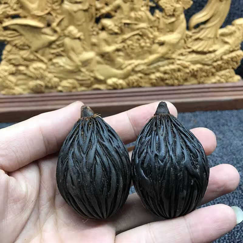 珠佩丽菩提子原籽千丝菩提子原籽通货论斤按斤狐尾椰挂饰吊坠首饰手串