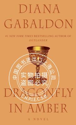 现货 英文原版Dragonfly in Amber: Outlander异乡人2 琥珀蜻蜓