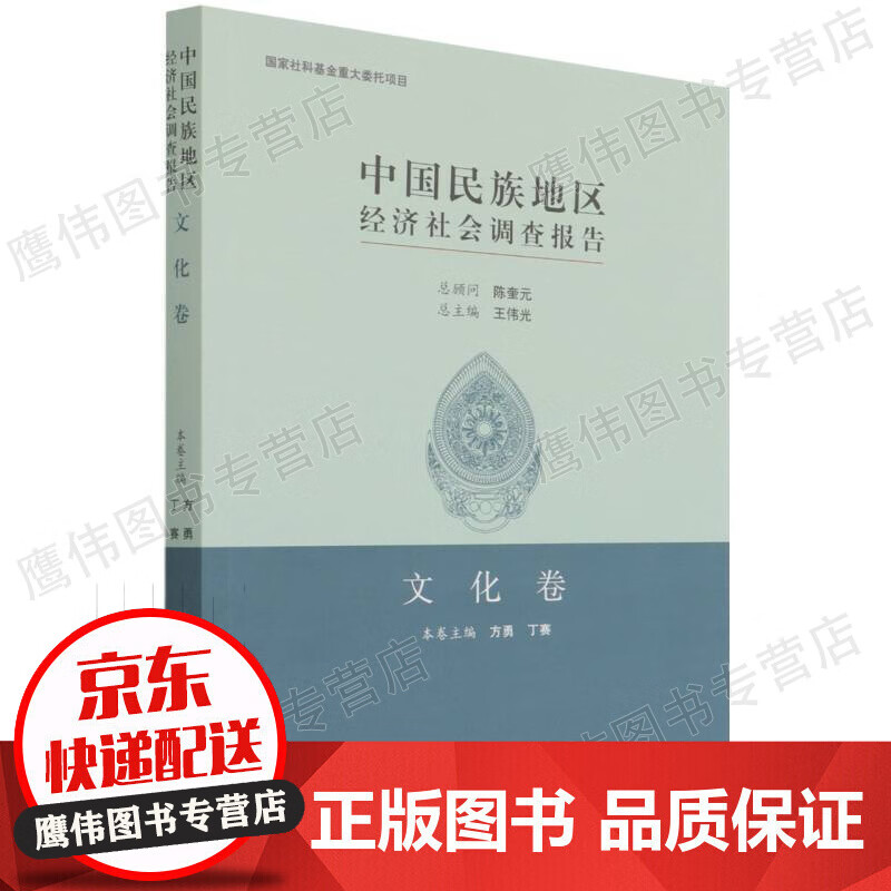中国民族地区经济社会调查报告：文化卷