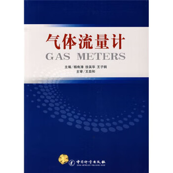 气体流量计 正版