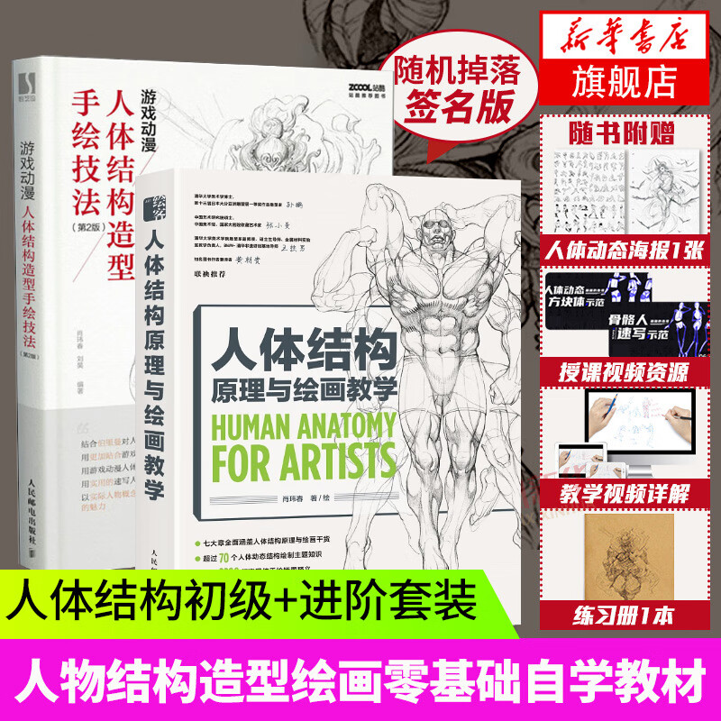 人体结构原理与绘画 画画的春哥伯里曼人物漫画教程书 画画入门自学零基础系列自选 临摹画册插画教程 游戏动漫初级+进阶套装2册299.8