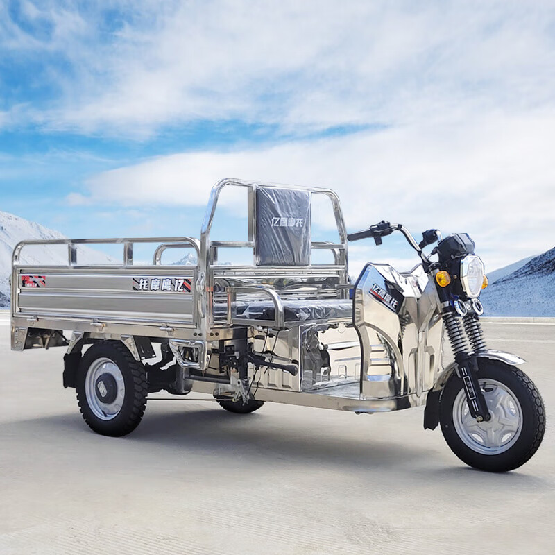 电动三轮车拉货不锈钢电瓶车电三轮家用货运农用载重王三轮电动车