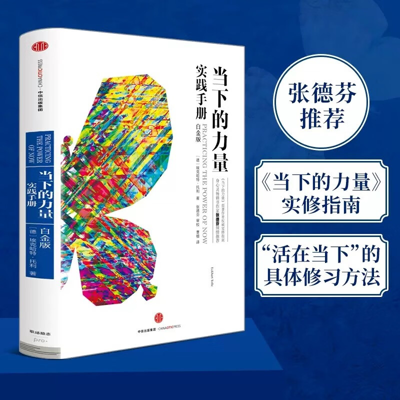 【新华书店正版书籍】当下的力量实践手册(白金版)(精) 德埃克哈特 托利 中信出版社 正版 激励心灵的力量 华语心灵畅销书作家张德 中信出版社图书 社科管理