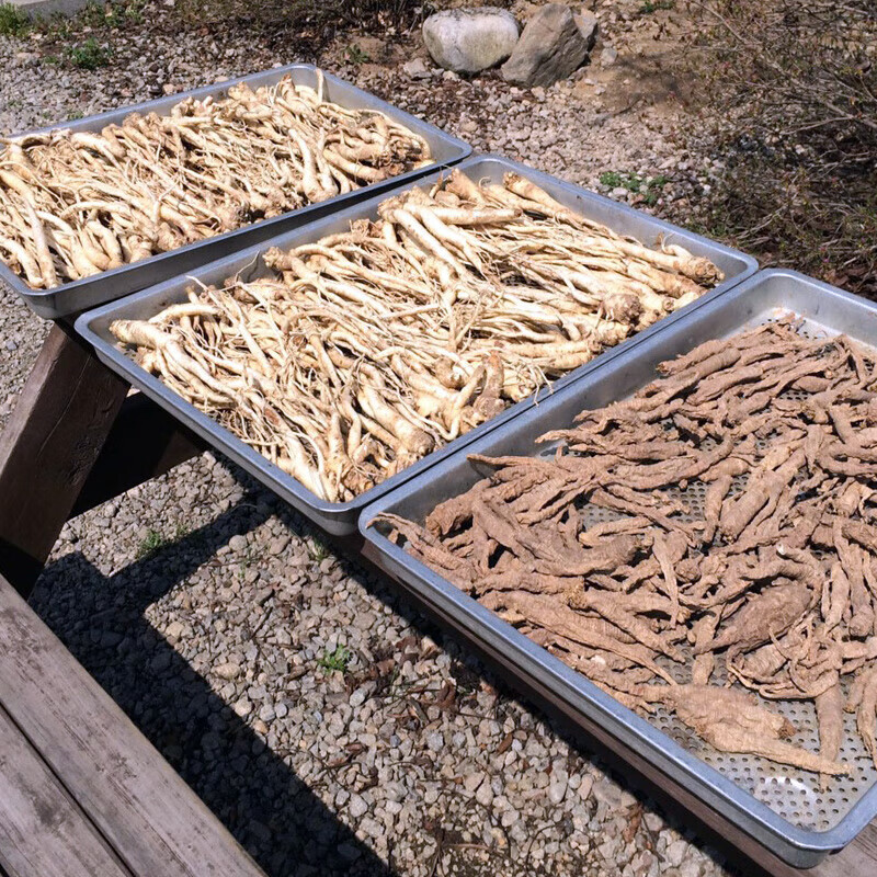 虎钢馋干桔梗丝延边东北长白山干狗宝桔梗菜道拉基根干货送拌料250g