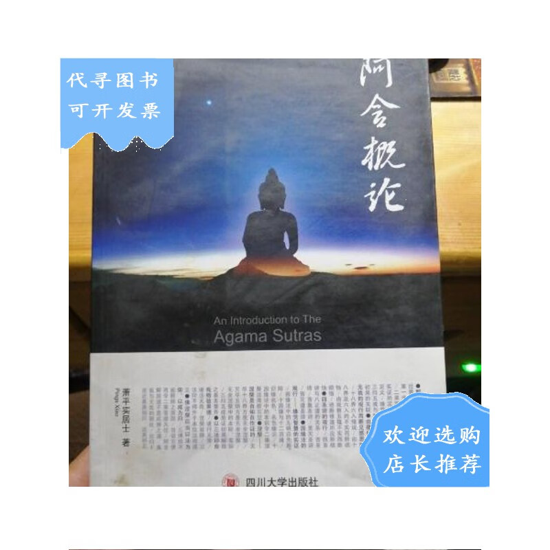 【二手八成新】阿含概论 萧平实居士