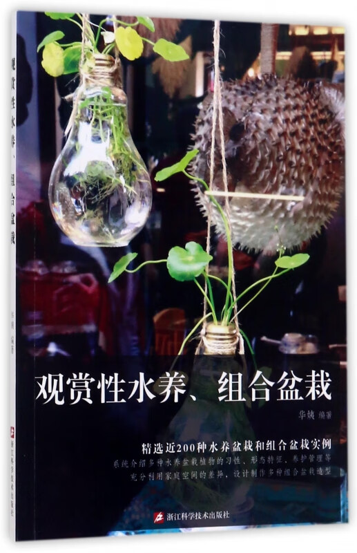 观赏性水养组合盆栽