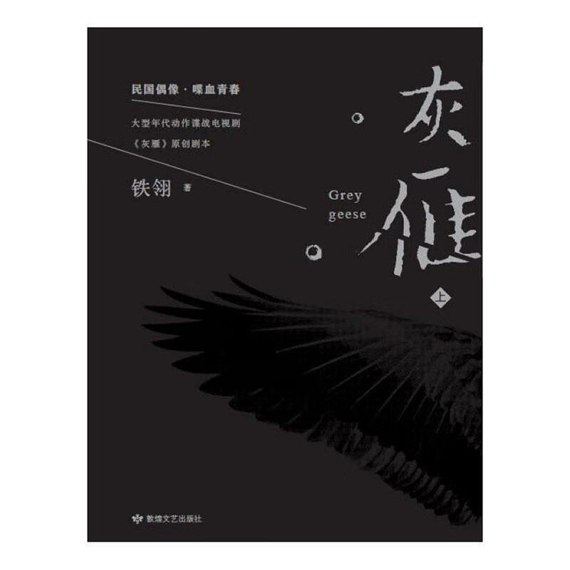 灰雁（全2册） 铁翎 文学 9787546817699