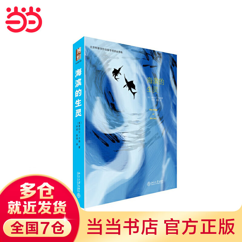 海滨的生灵