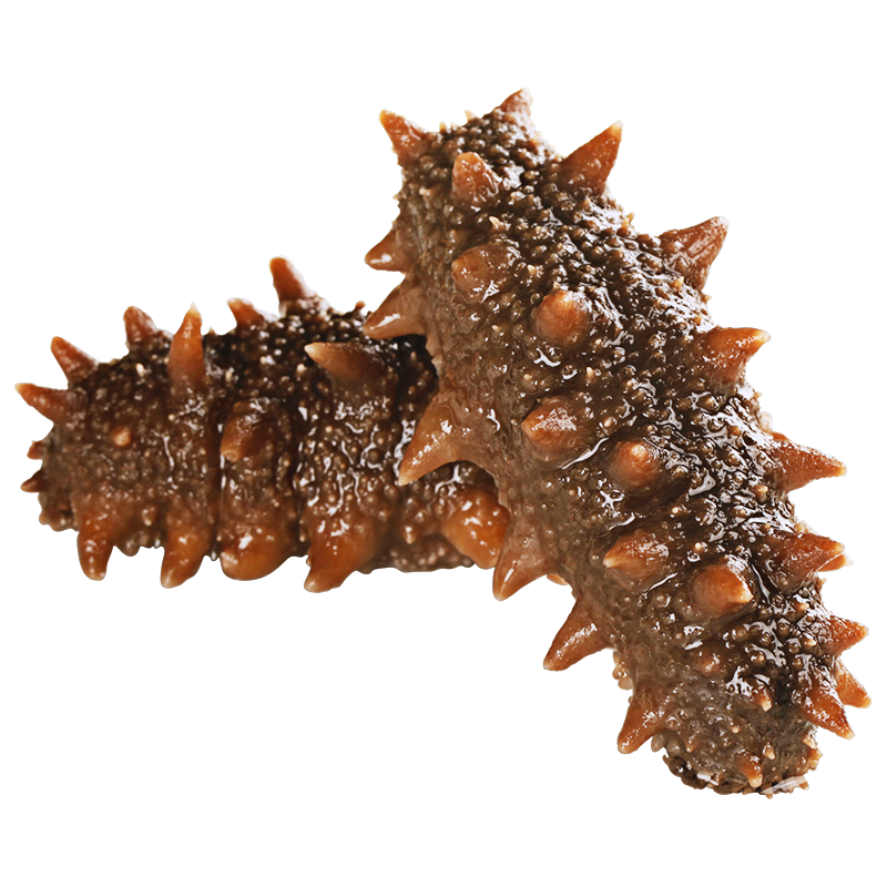 ���ڲ������ʼ����� ��ʳ���� ��ʳ�����̲ε���װ�ɴ̲κ��θɻ�ˮ����о�����500g 5A��ʳ���� 31-50ֻ/�� һ�����װ�� 53.9Ԫ