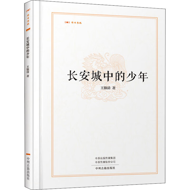 长安城中的少年