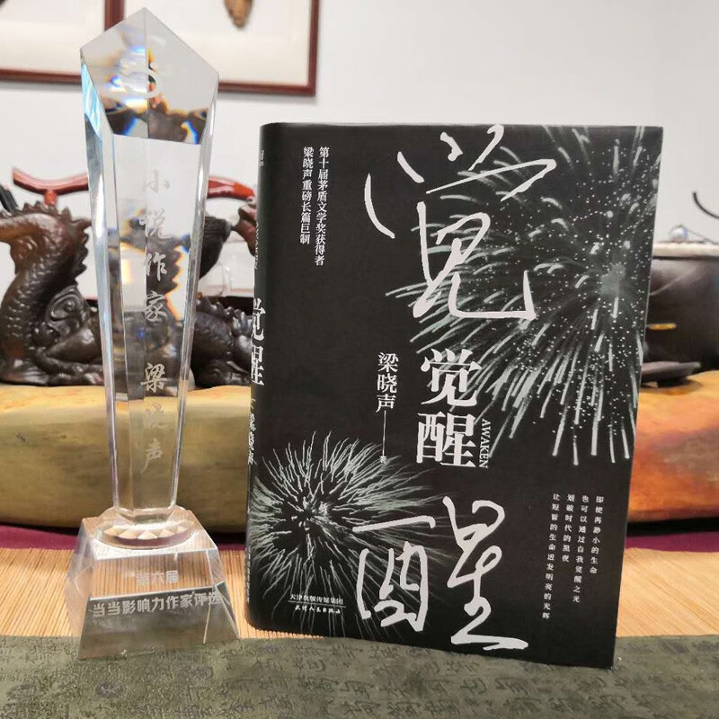 现货】觉醒-梁晓声 社会思考和哲学意味的现实主义小说