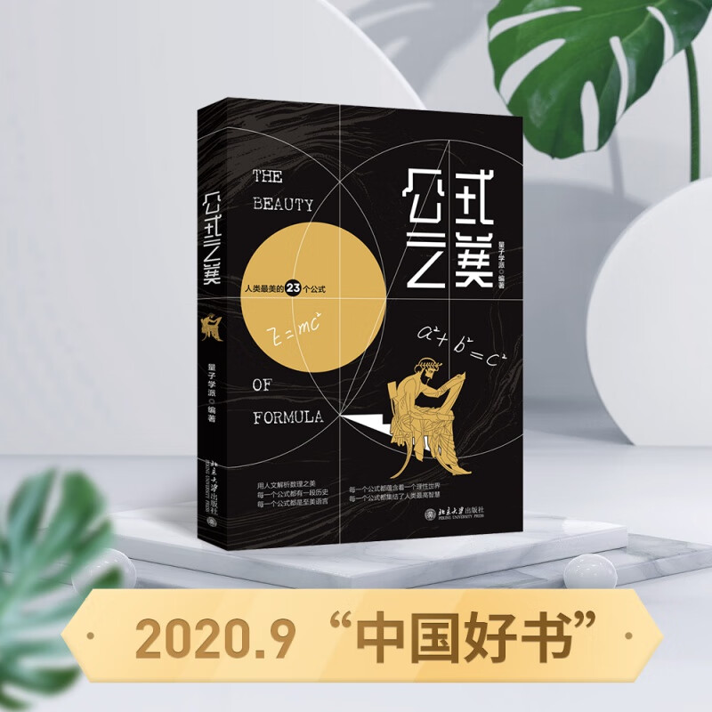 公式之美 中国好书