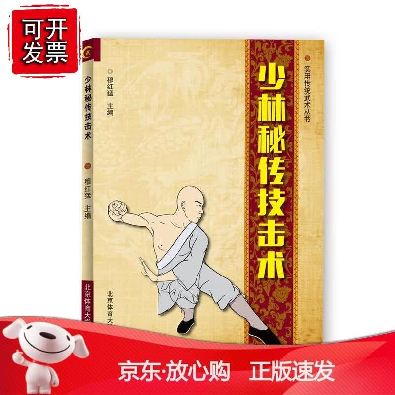 少林传技击术正版