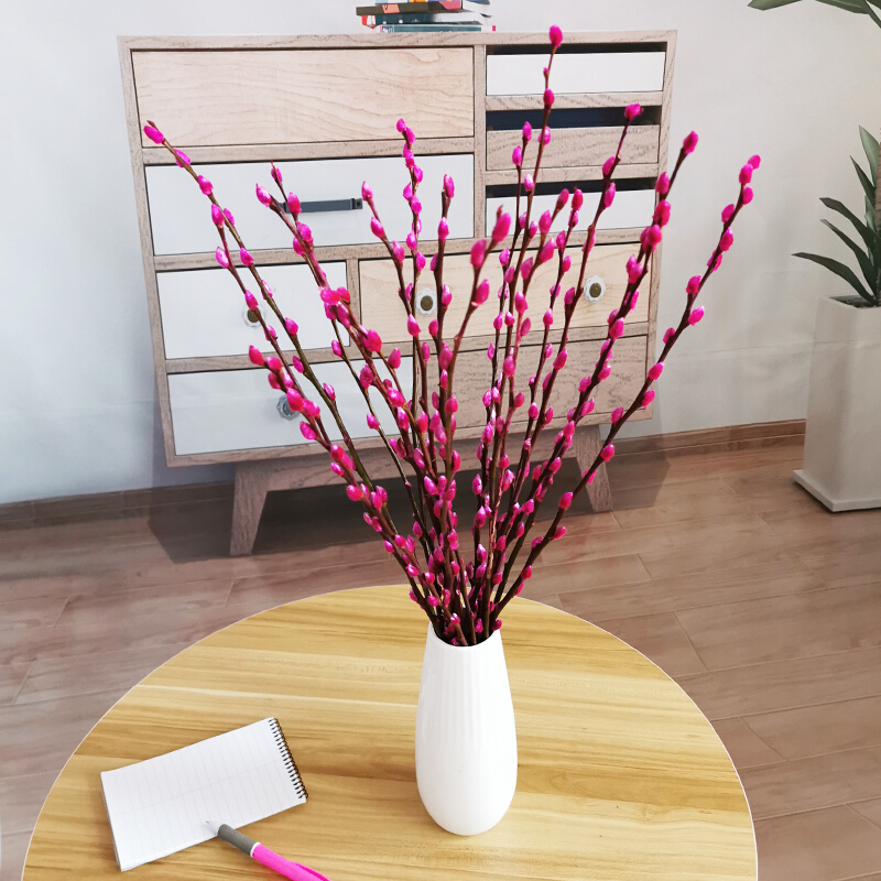 银柳真花干花花束风干天然鲜枝水养带满天星花瓶装饰客厅摆设60cm10支红色银柳不含盆 绝对值 其他 绝对值