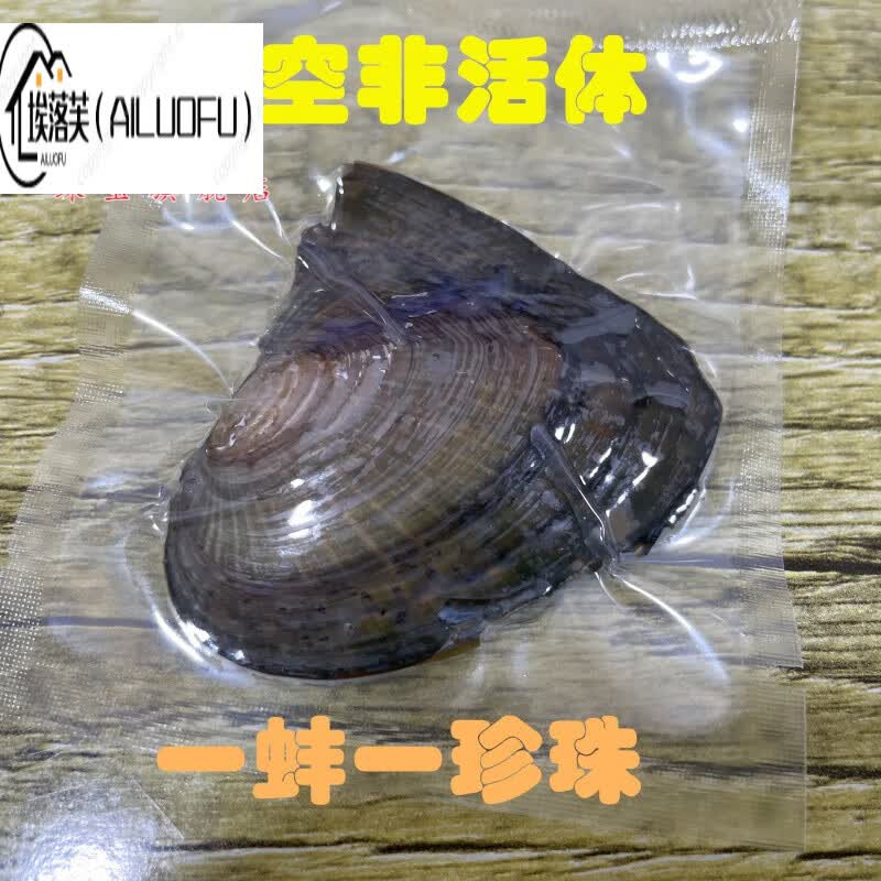 埃落芙A淡水珍珠贝特大河蚌寄多珠活蚌自己开蚌壳diy可养殖鲜活 真空小蚌五个(一蚌一珠非活体)高性价比高么？