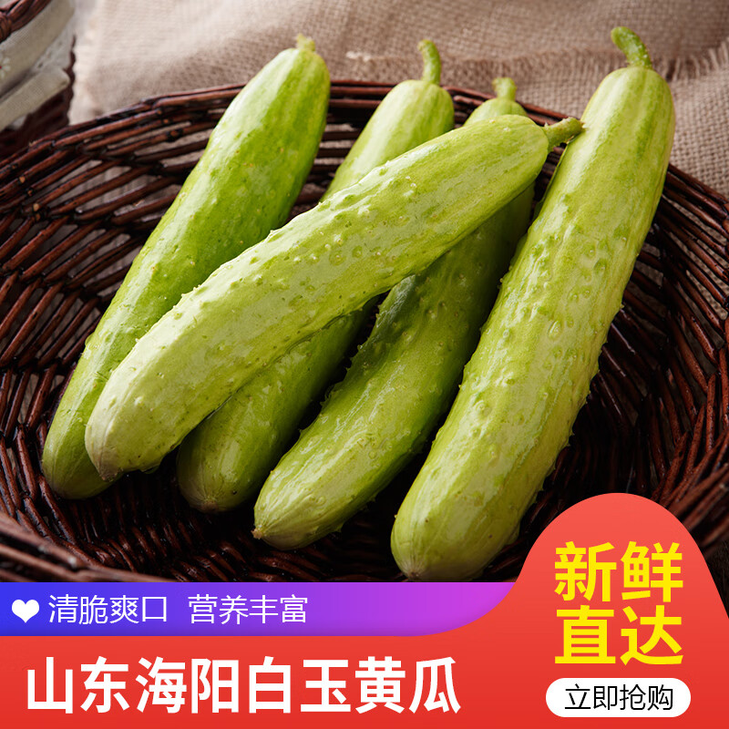 【佑嘉木】海阳白玉黄瓜 水果黄瓜 现摘小青瓜 新鲜蔬菜 4.5斤