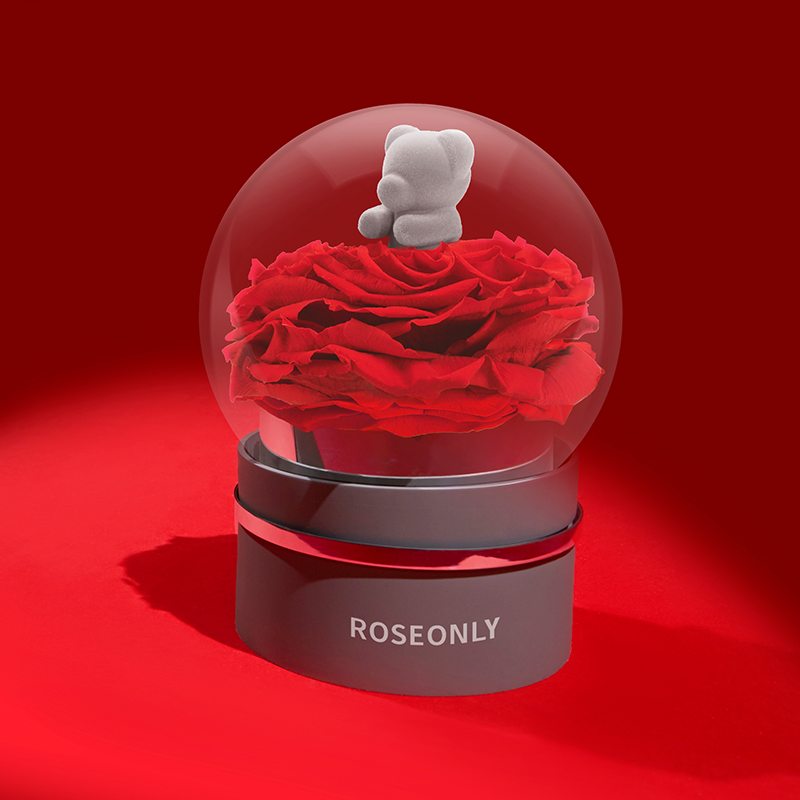 Roseonly 诺誓 甜心熊永生玫瑰花音乐球生日送女朋友结婚纪念日七夕情人节礼物甜心熊音乐球 虎窝购