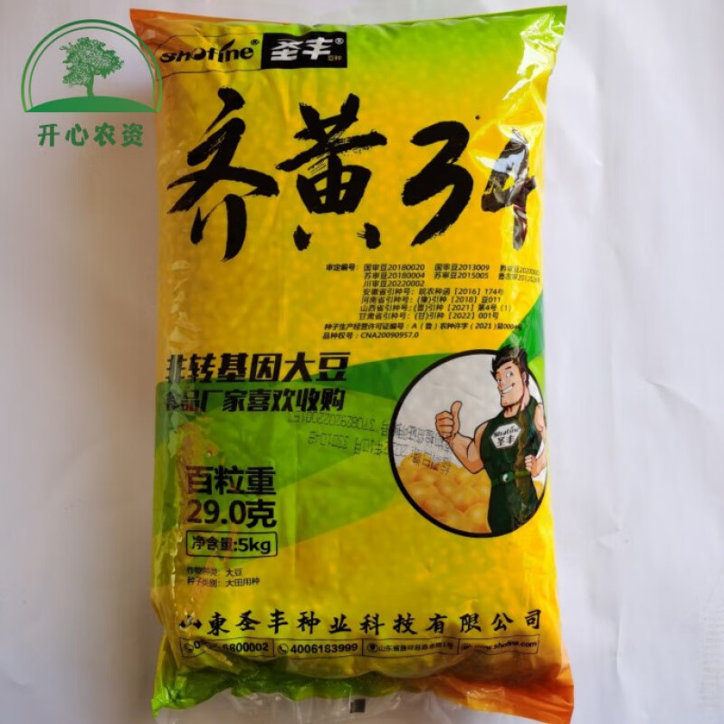 细辛齐黄34黄豆种子原装国审稳产稳产抗病抗旱耐高温大豆种籽 齐黄34