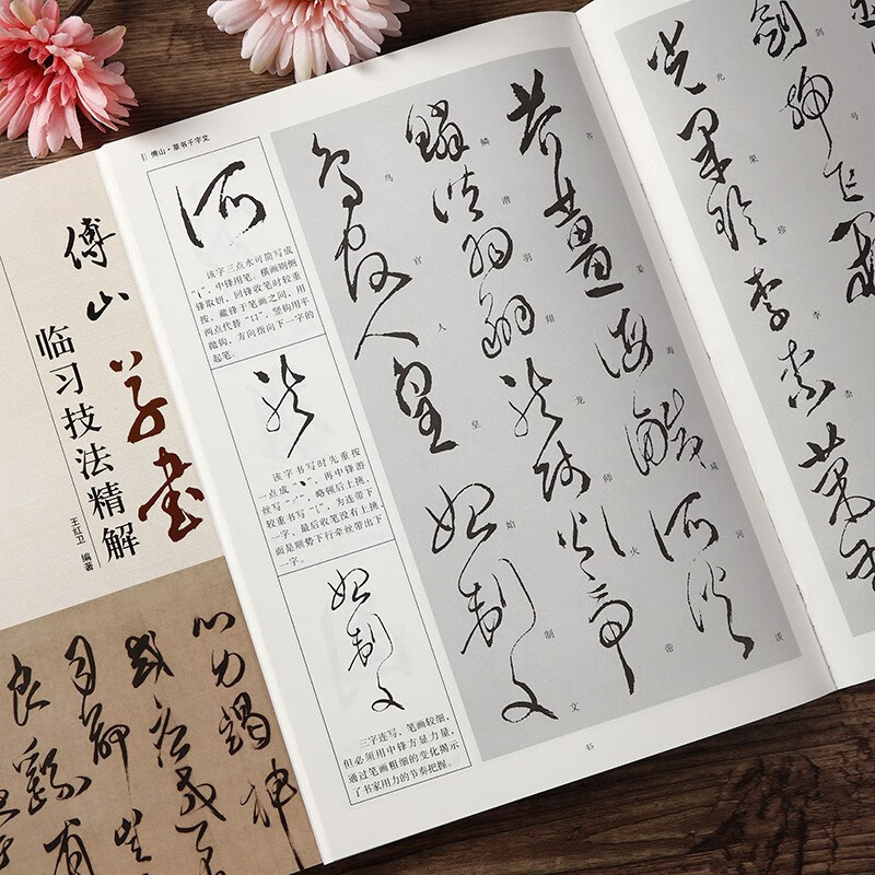 傅山草书临习技法精解 历代名家碑帖临习技