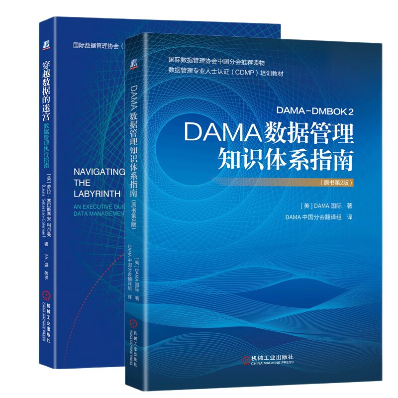 数据管理丛书【2册】DAMA数据管理知识体系指南+穿越数据的迷宫：数据管理执行指南  正版 2册套装