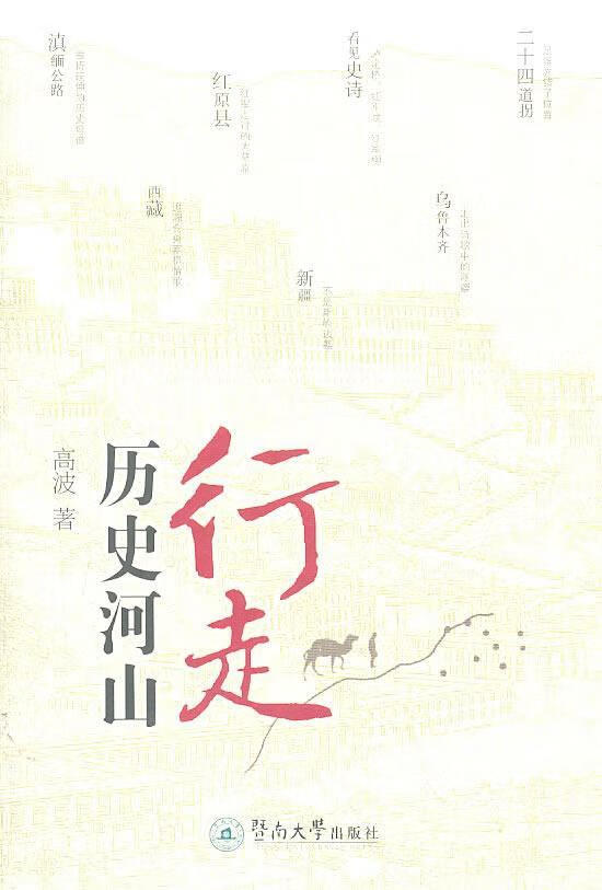 行走历史河山 高波 旅游/地图 9787811357998