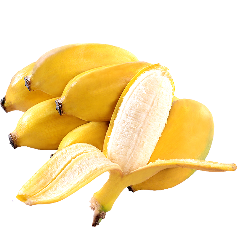 香蕉价格历史及销量趋势分析