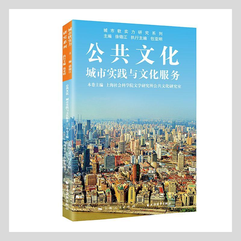 公共文化：城市实践与文化服务文化 图书