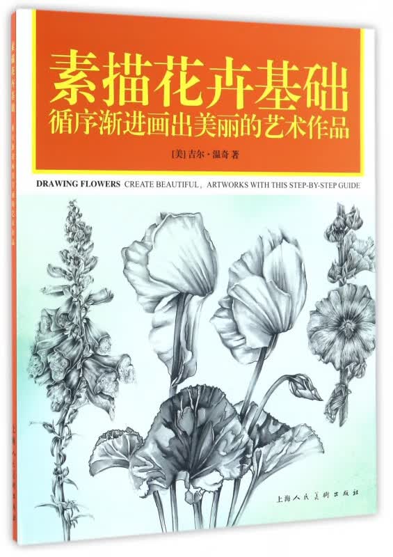 素描花卉基础(循序渐进画出美丽的艺术作品)