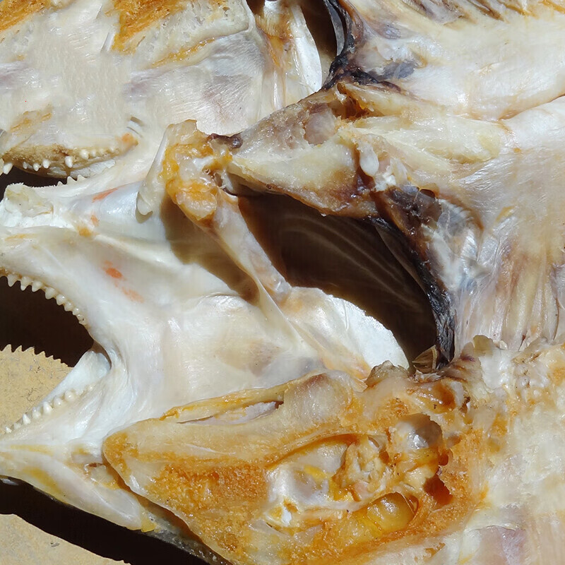 虎钢馋深海立鱼干 湛江特产整条海鱼干黄鳍鲷鱼胶辣鱼黄脚立咸鱼干货