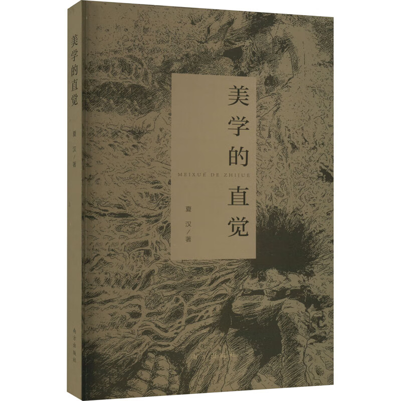 美学的直觉 图书