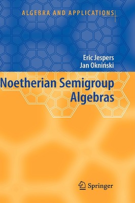 Noetherian Semigroup