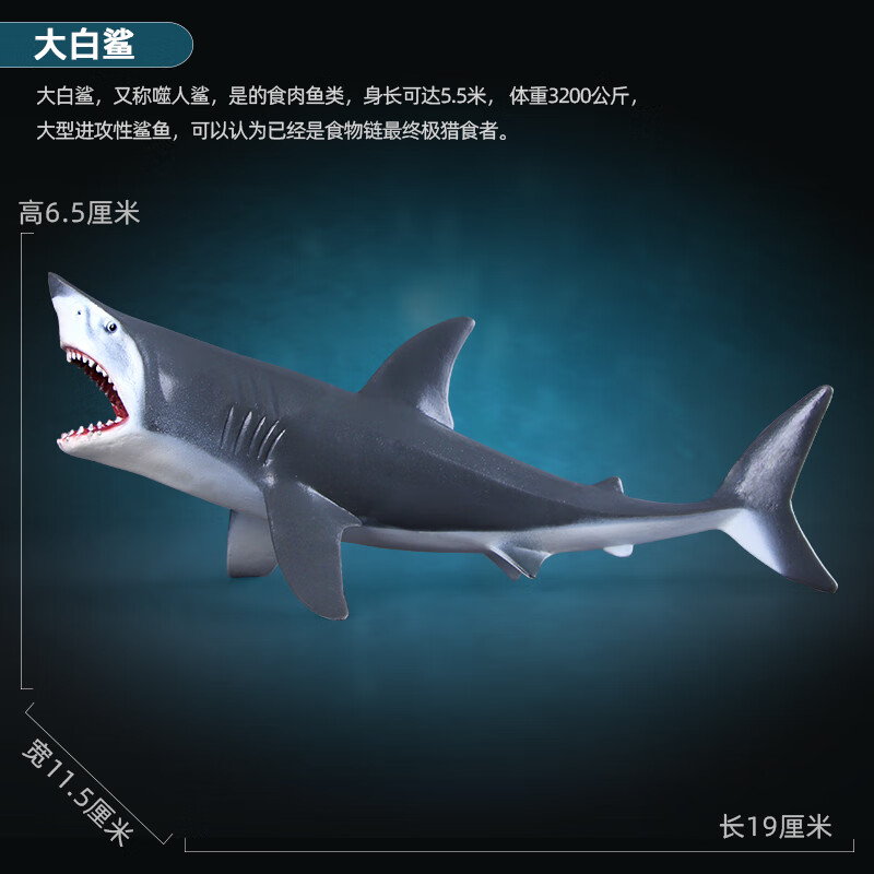 北京海洋馆玩具海洋生物模型鲨鱼鲸鱼大白鲨抹香鲸座头鲸儿童男孩玩具摆件 大白鲨