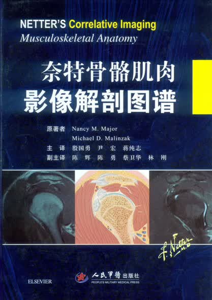 奈特骨骼肌肉影像解剖图谱