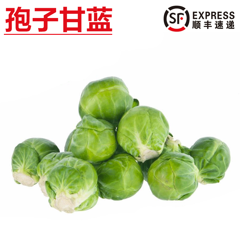 旷古农业【顺丰】新鲜孢子甘蓝 小甘兰抱子甘蓝小包菜球芽甘蓝 500g