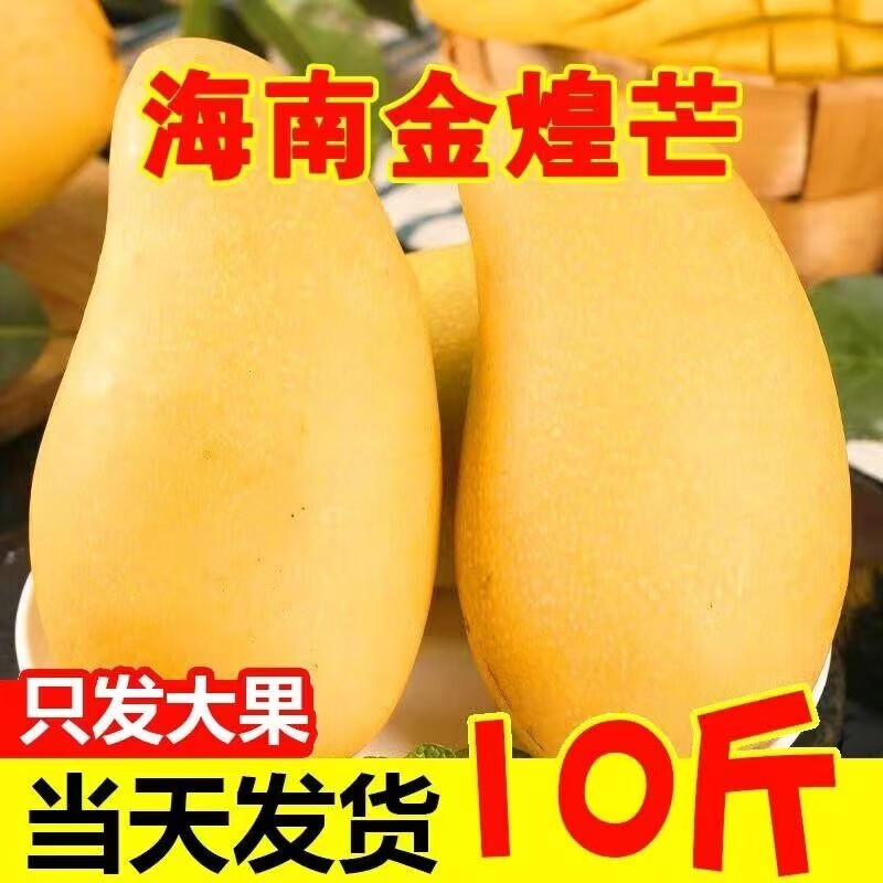 网络芒果商品历史价格查询|芒果价格历史