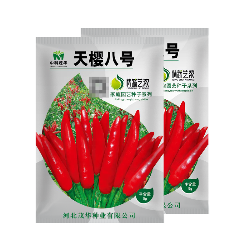 朝天椒辣椒种子干椒三樱椒美人椒种子魔鬼椒 天樱八号朝天椒种子10克