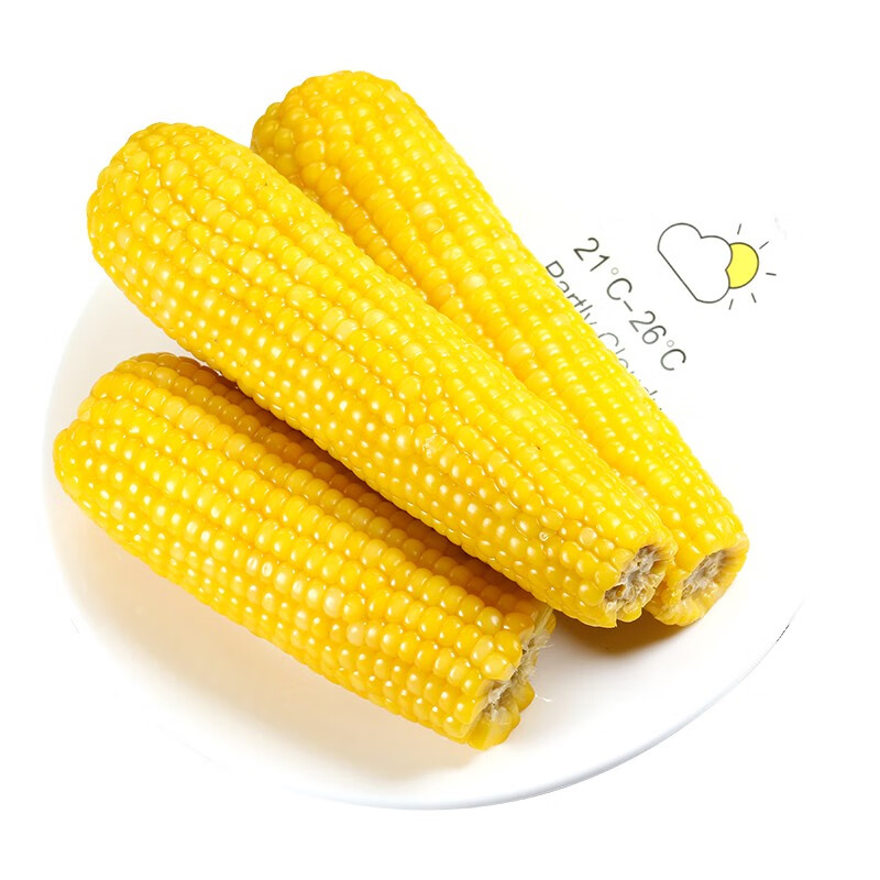 玉米东北特产糯玉米非转基因甜粘玉米棒真空包装 黄糥玉米  10支装(单支200-250克）