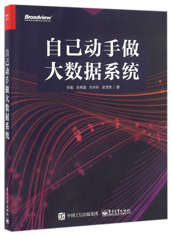 自己动手做大数据系统