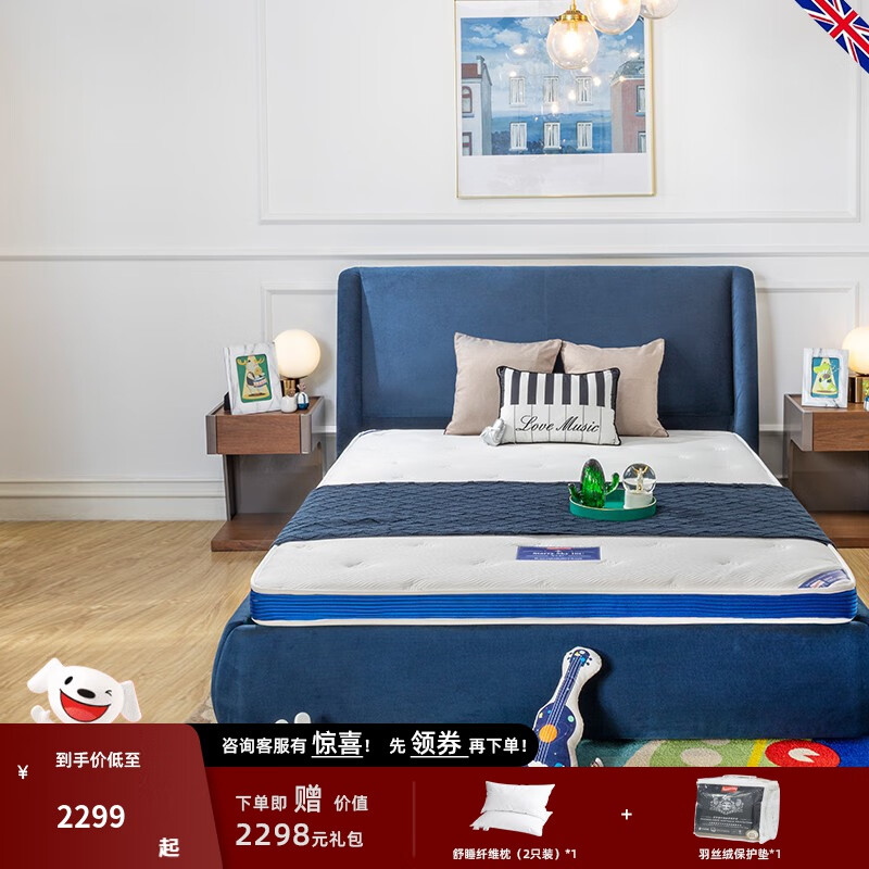 如何查看京东儿童床垫历史价格|儿童床垫价格比较